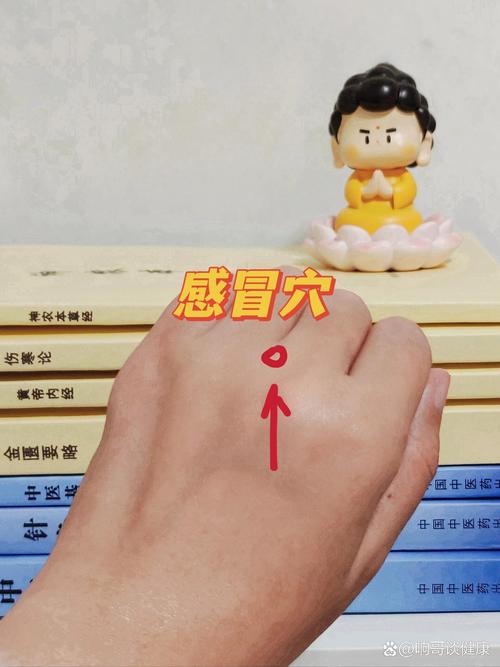 肠胃型感冒对应穴位