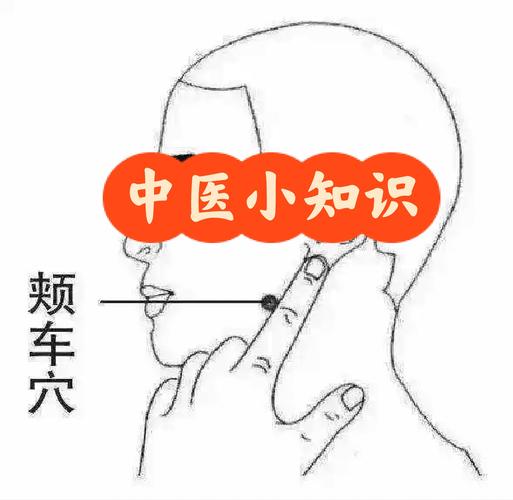 下巴下方是什么穴位