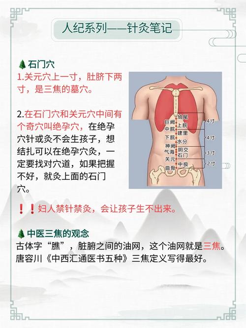 肚脐中间穴位的作用