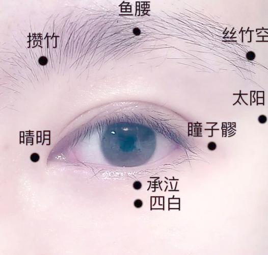 去眼袋针灸哪些穴位