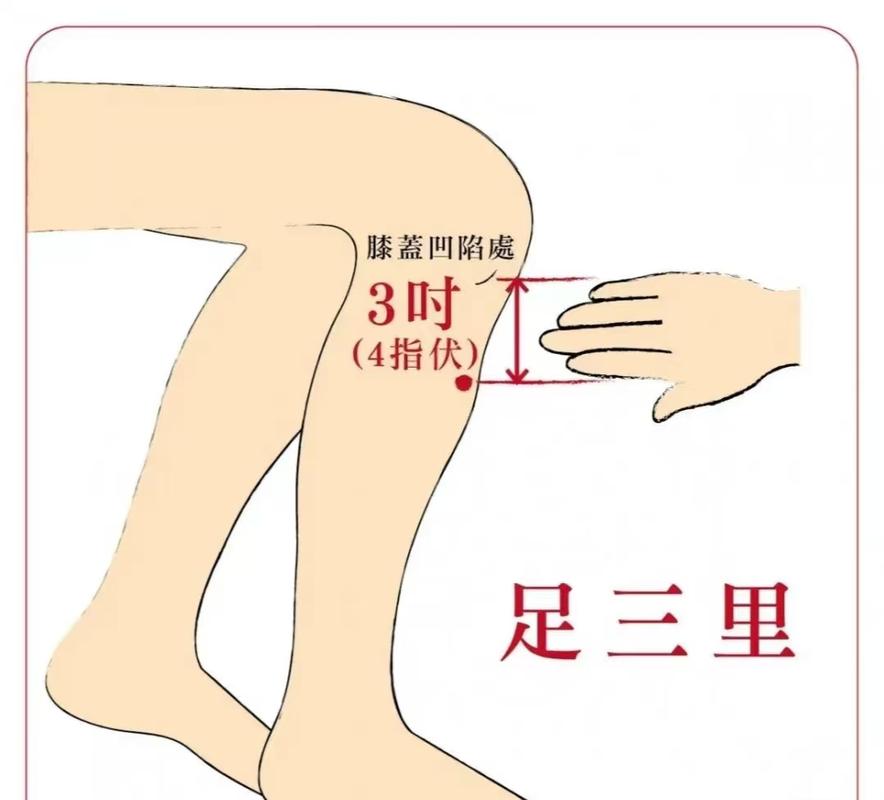 身体无力按什么穴位