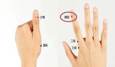 穴位放血要几次算好