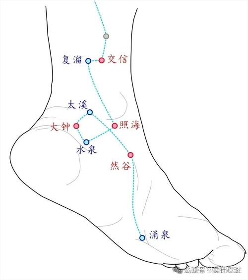 下肢水肿按什么穴位