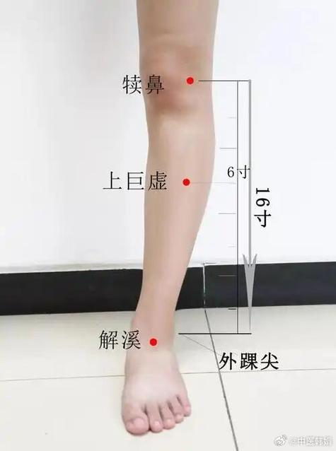 下肢水肿按什么穴位
