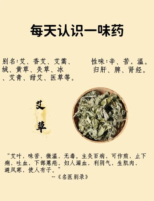 哎叶能治风湿关节炎吗
