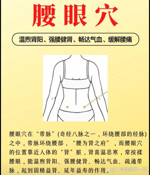 腰部可以针灸的穴位