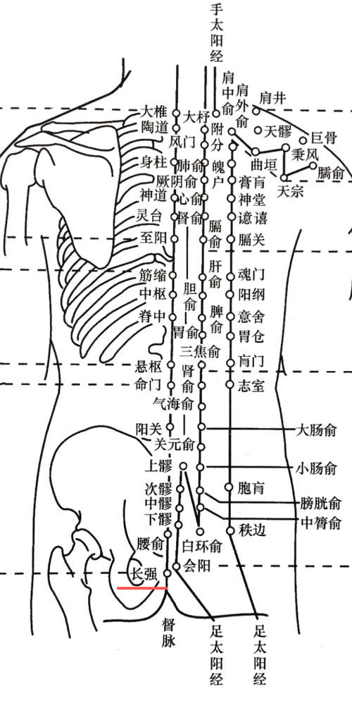 腰部可以针灸的穴位