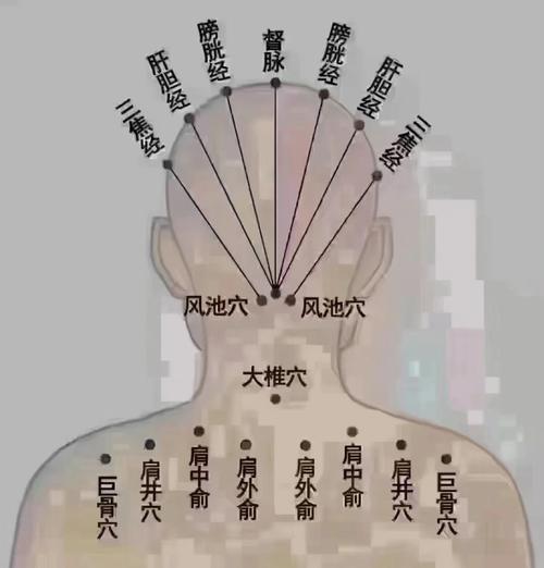 脑袋后面是什么穴位