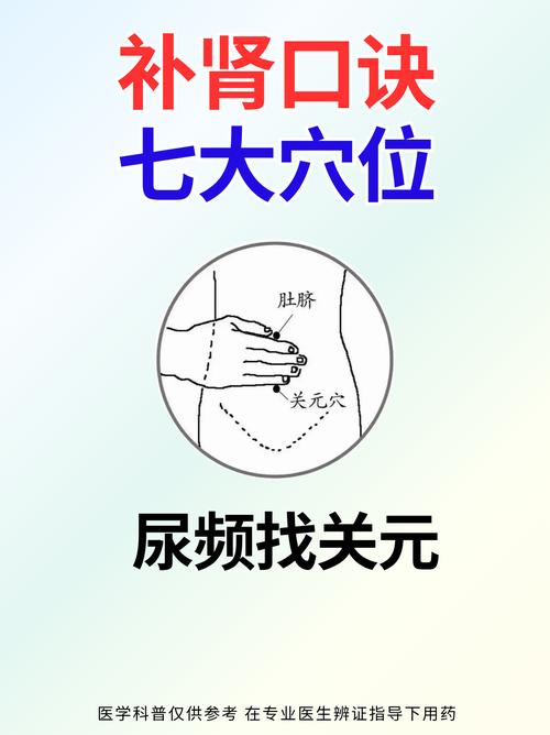 穴位补肾 腰知道的