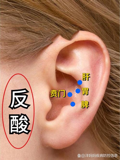 耳朵哪个穴位反应胃