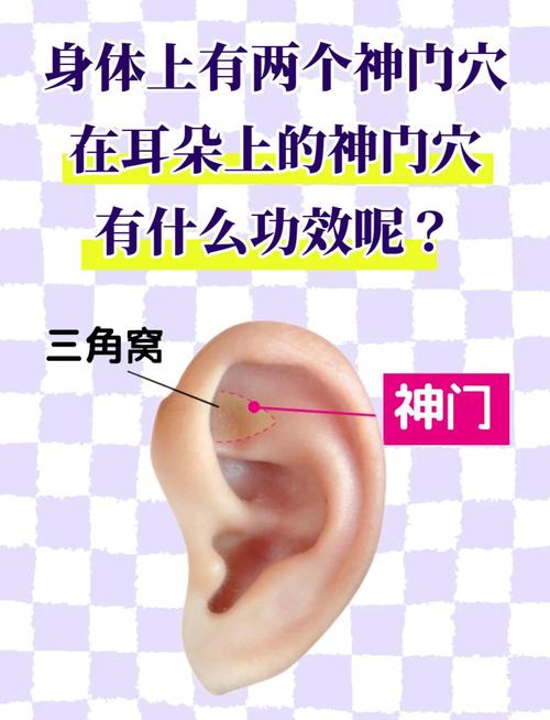 耳朵哪个穴位反应胃