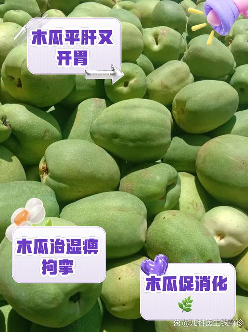 吃木瓜对风湿病有用吗