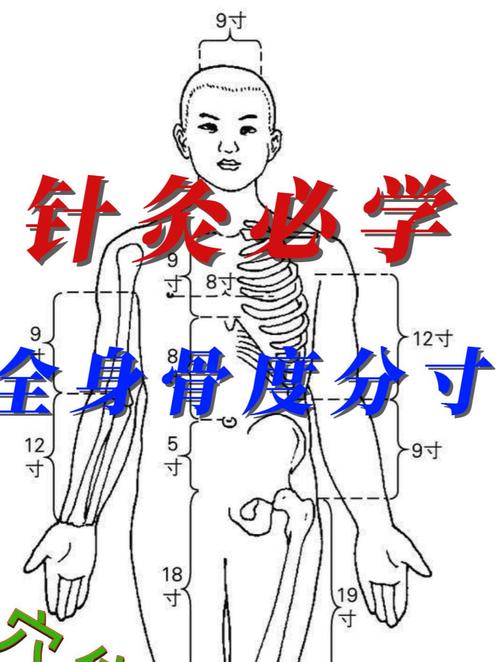 穴位0.1寸是多少