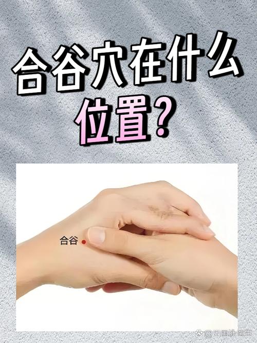 食指与拇指中间穴位