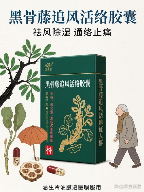 黑骨藤追风湿丸说明书