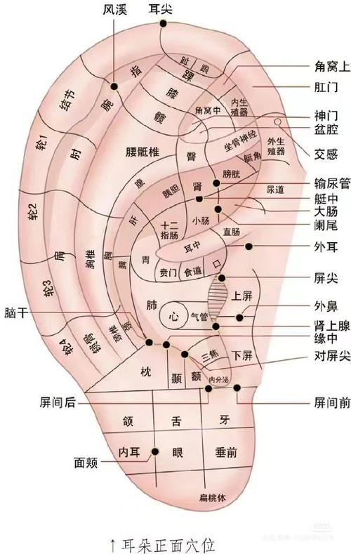 耳门穴位有什么效果