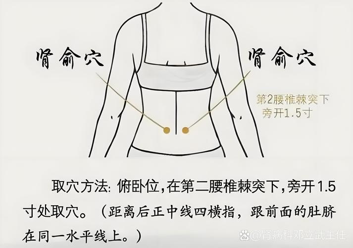 尿潴留针灸什么穴位