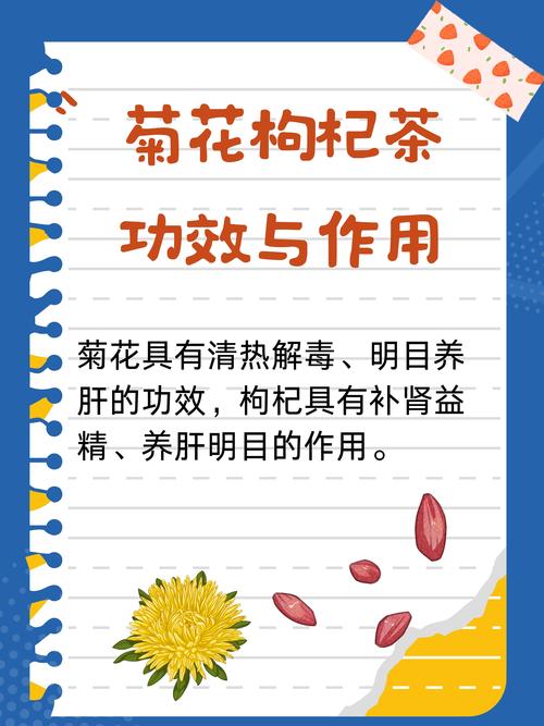 内风湿能不能喝菊花茶