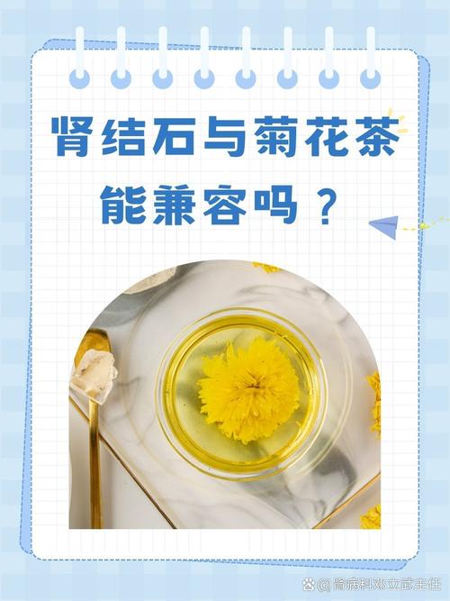 内风湿能不能喝菊花茶