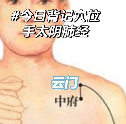 锁骨上面是什么穴位