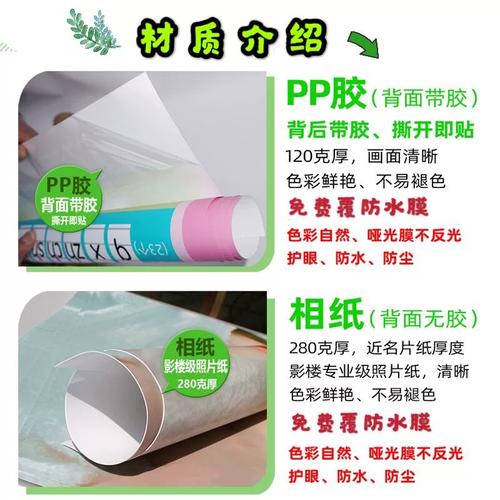 人体腹部彩色穴位图