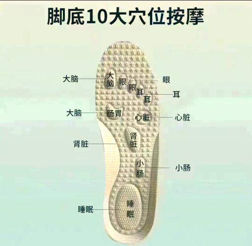 胃恶心按摩脚底穴位