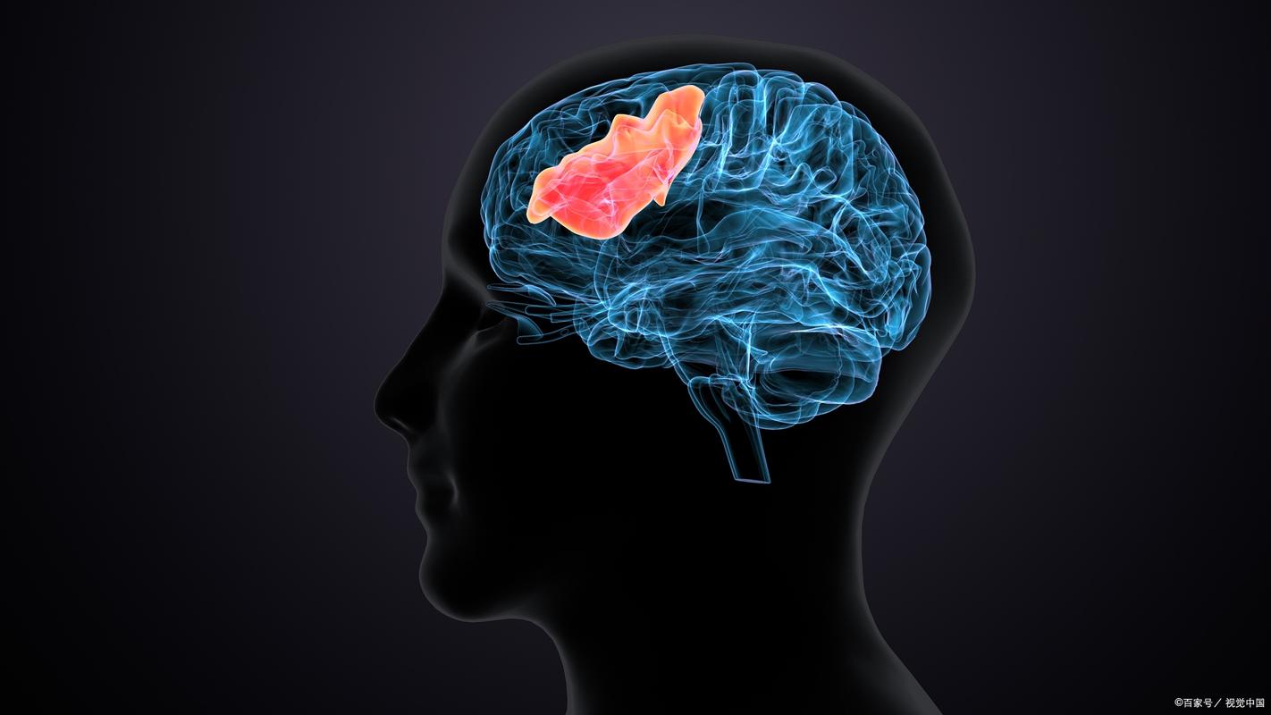 有脑梗症状爬不出脑梗