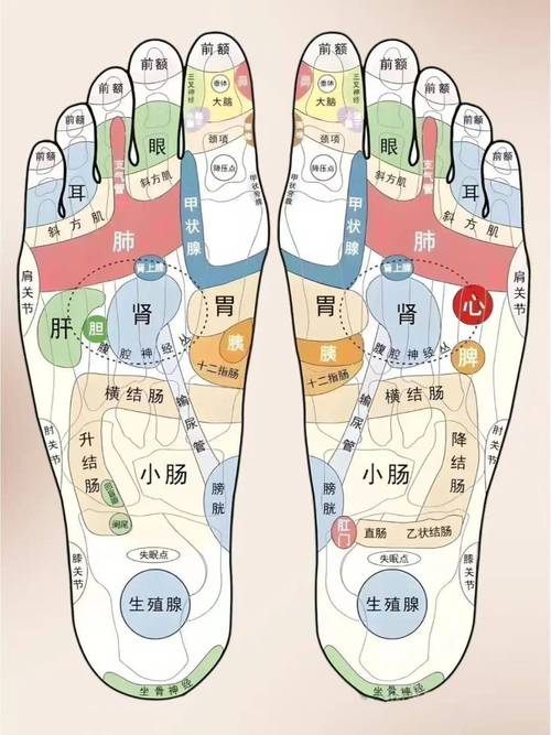 脚上哪个穴位是子宫