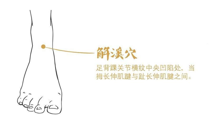 解溪穴位于那条经络