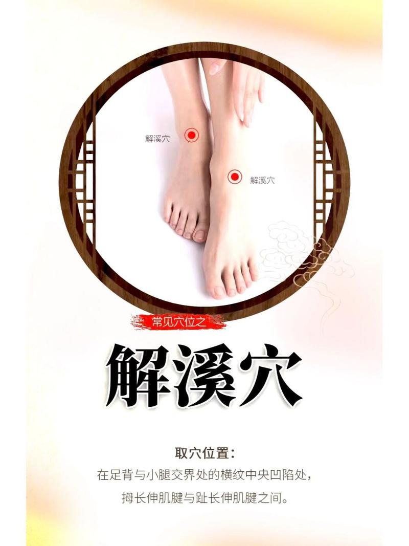 解溪穴位于那条经络