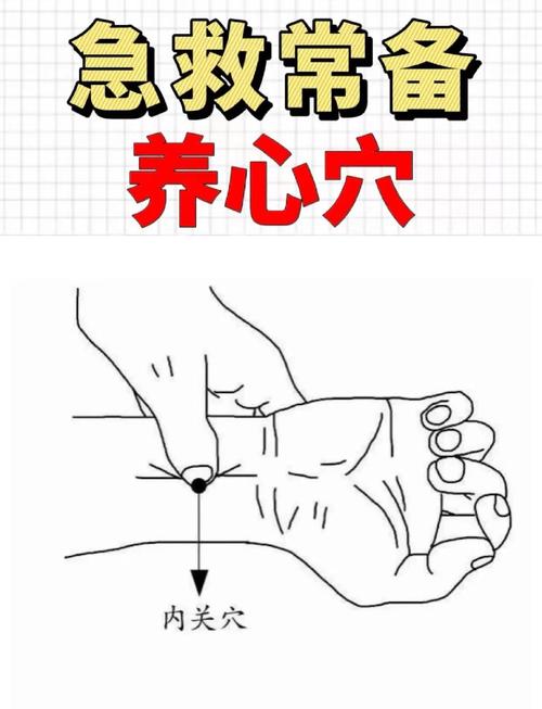 人体穴位内关穴视频