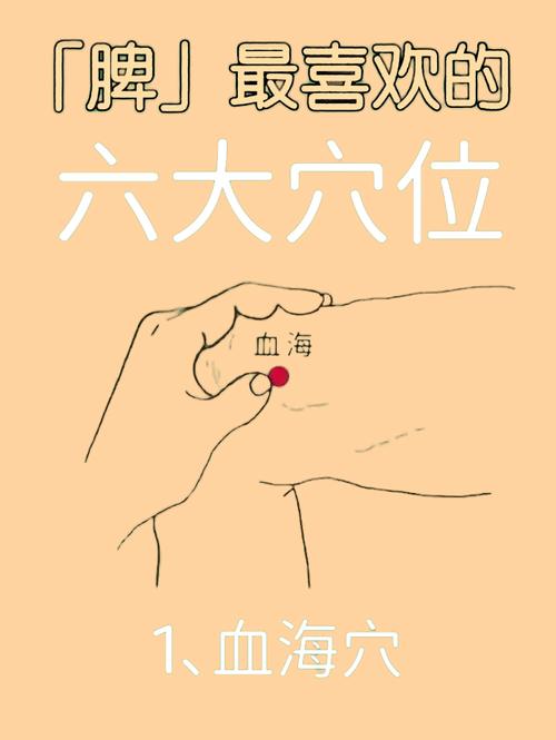 增加脾胃功能的穴位