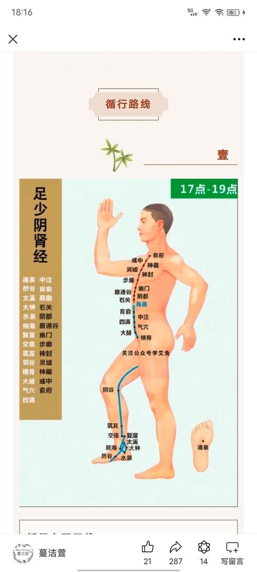 补肾按摩哪个穴位图