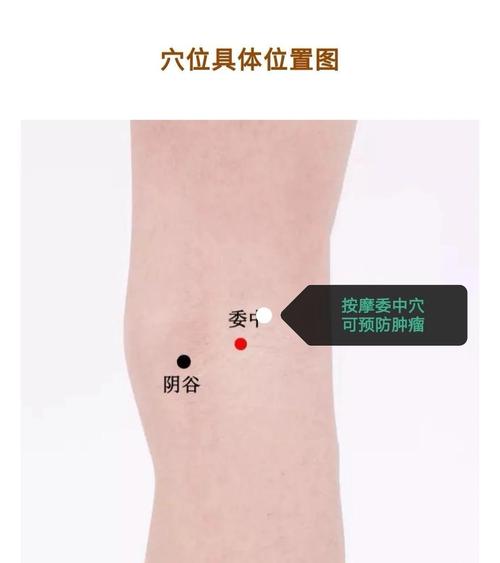 治疗腰椎的艾灸穴位