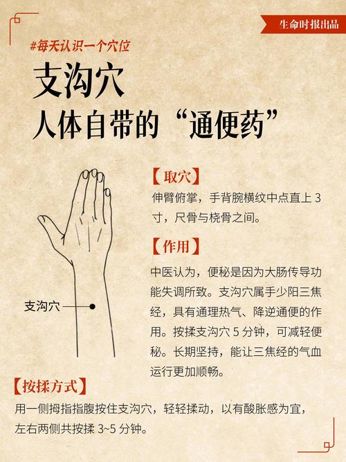 治疗大便干燥的穴位