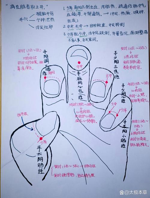 儿科上肢部穴位作业