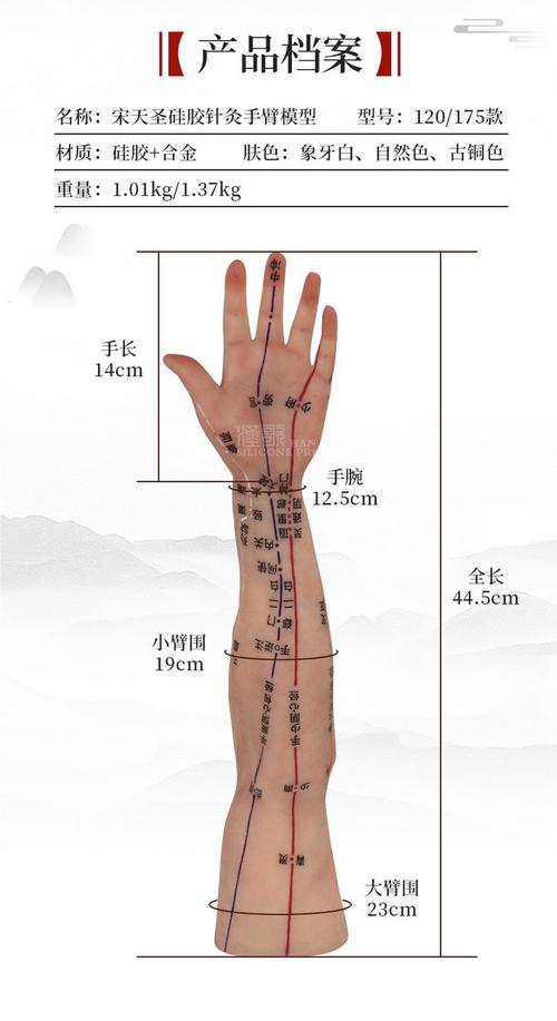 儿科上肢部穴位作业