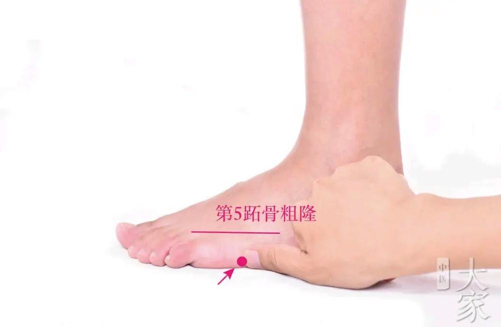小脚趾内侧什么穴位