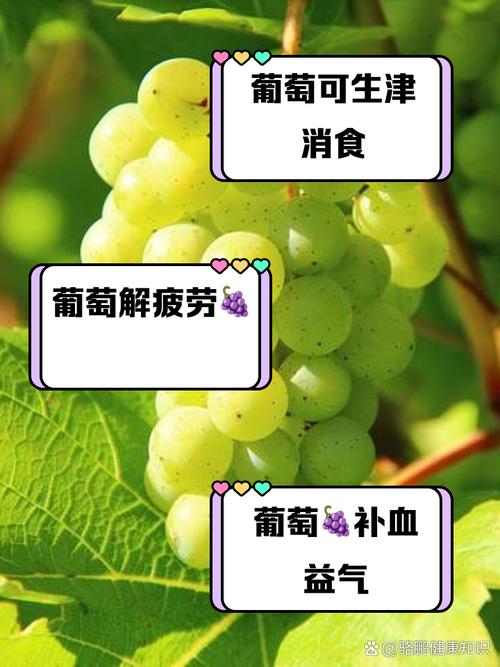 风湿病人能不能吃葡萄