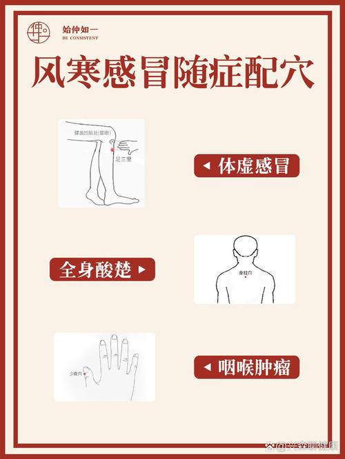 风寒感冒点哪些穴位