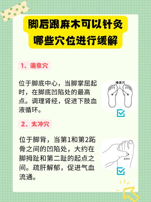 脚麻要按摩哪个穴位