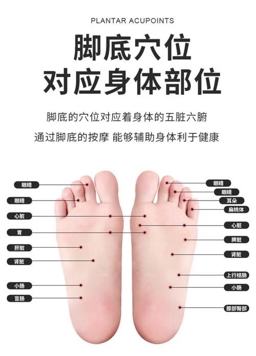 脚麻要按摩哪个穴位