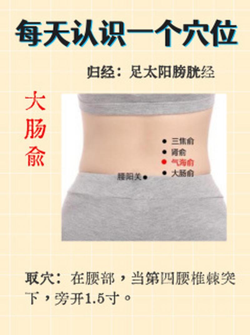 人体穴位图大肠俞穴