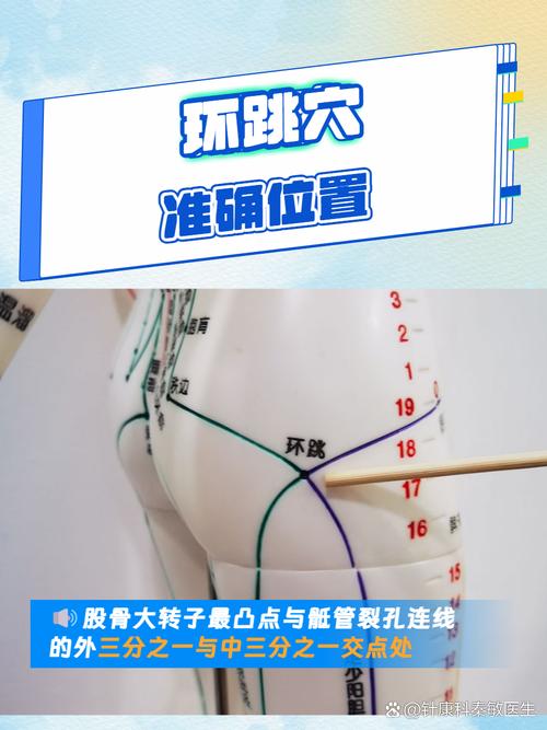 环跳准确位置图穴位