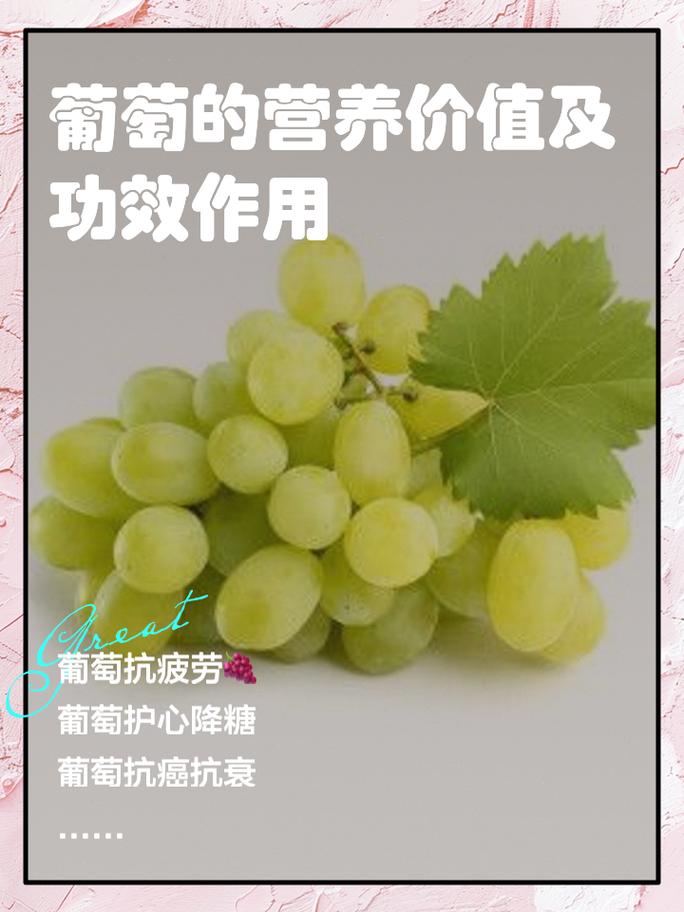 类风湿病人能吃葡萄吗