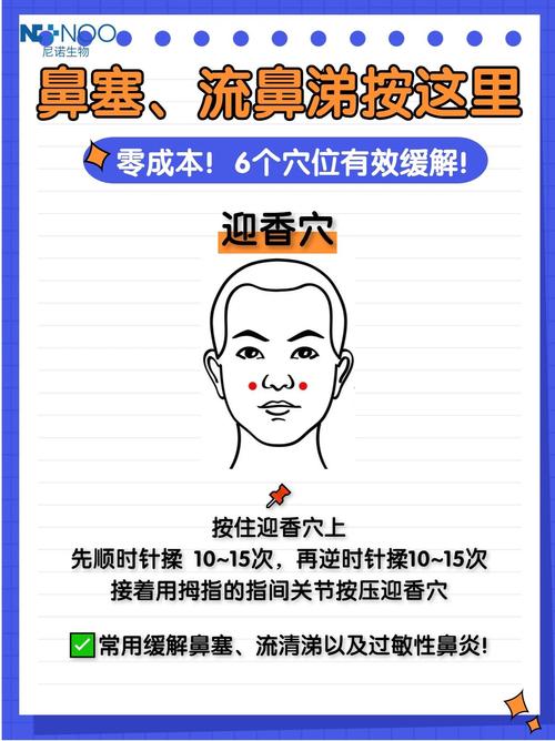 刮痧治疗鼻炎穴位图