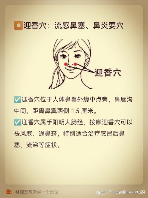 刮痧治疗鼻炎穴位图