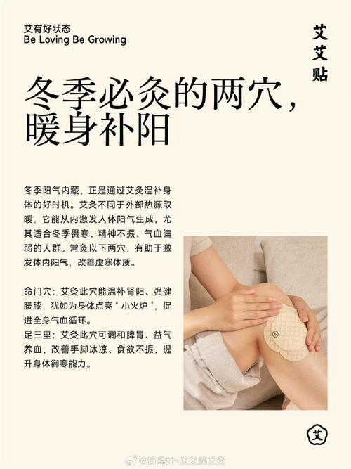 冬至养生灸那些穴位