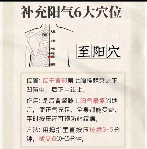 冬至养生灸那些穴位