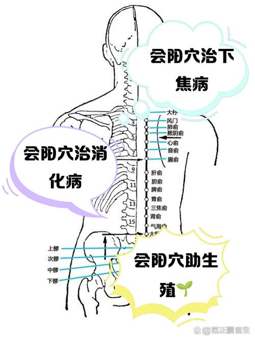 尾椎变形理疗穴位图